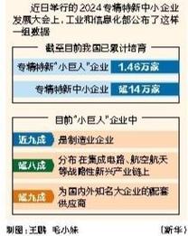 我国专精特新“小巨人”企业1.46万家，知识产权产出活跃