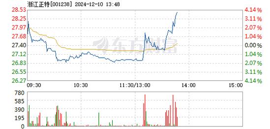 浙江正特12月30日快速上涨