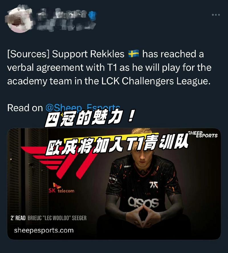 T1教练也只是个点外卖？Rekkles爆料：队伍核心BP是K博士做的！_1