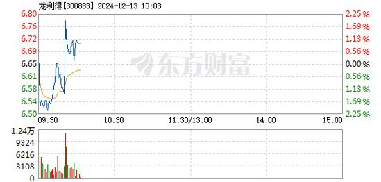 龙利得1月6日快速反弹