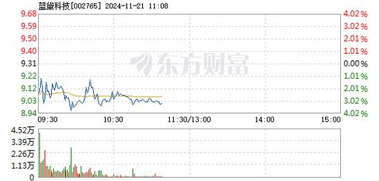 蓝黛科技1月6日快速上涨