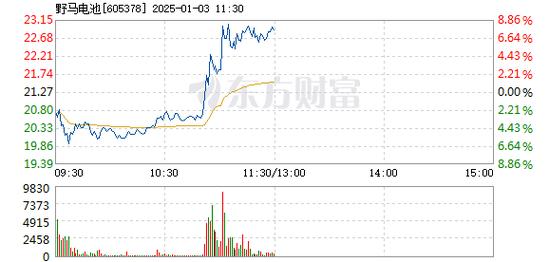 野马电池1月7日快速上涨