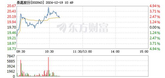 泰嘉股份1月7日快速反弹