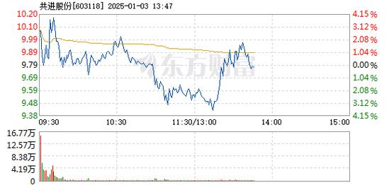 文科股份1月3日快速反弹