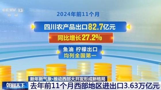 海关总署出台15项措施推动西部大开发形成新格局_3