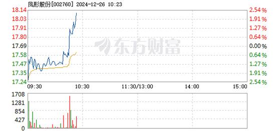 凤形股份1月6日快速反弹