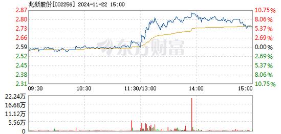 兆新股份1月7日快速上涨