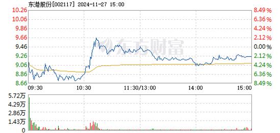 东港股份1月7日快速回调