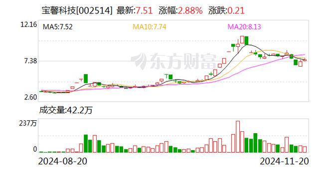 宝馨科技1月6日快速反弹