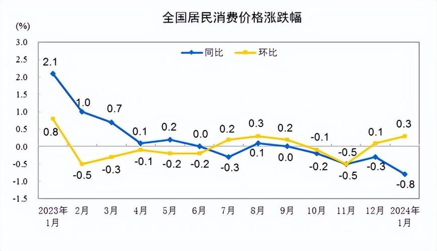 国家统计局：2024年12月全国居民消费价格同比上涨0.1%