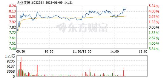 思美传媒1月9日盘中涨幅达5%