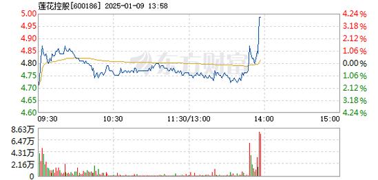 莲花控股1月9日快速上涨