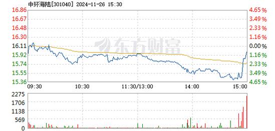 中环海陆1月10日快速反弹