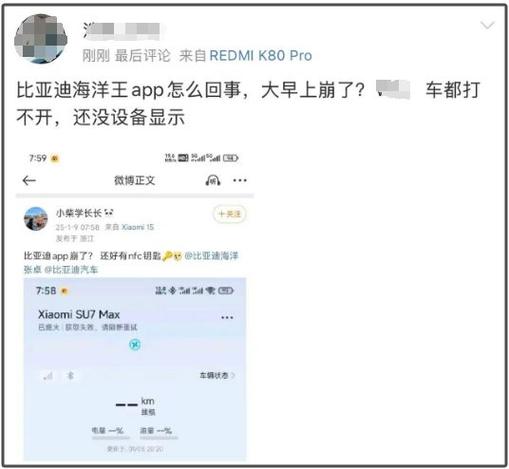 电车APP崩溃成“死车”，车主：这回不是黑了吧！