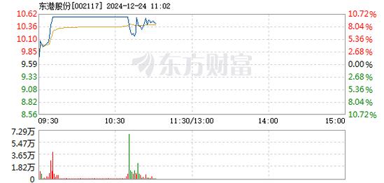 东港股份1月9日快速回调